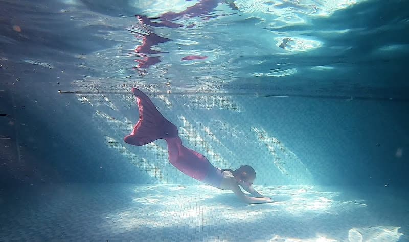 Gone for a Swim swimming school facility in Unknown, Unknown - Professional swimming lessons and training