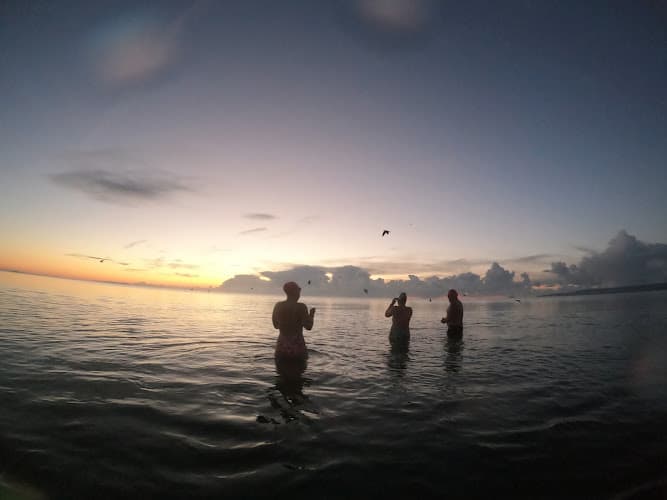 Found in the Waves swimming school facility in Bournemouth, Unknown - Professional swimming lessons and training